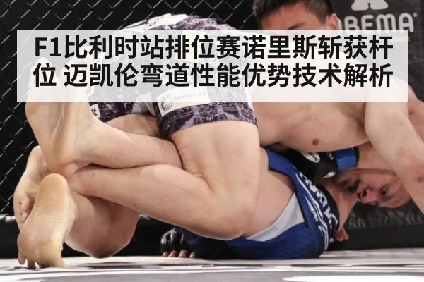 F1比利时站排位赛诺里斯斩获杆位 迈凯伦弯道性能优势技术解析 | kaiyun